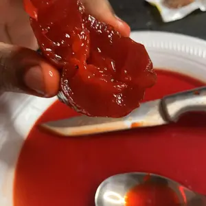 Product Review of Big Tex Chamoy Pickle Kit - The Ultimate Sweet and Spicy Viral Snack Experience from **