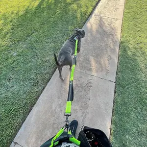 Product Review of iYoShop Hands Free Dog Leash with Zipper Pouch, Dual Padded Handles and Durable Bungee for Walking, Jogging and Running Your Dog from ** ** ** ** T**L