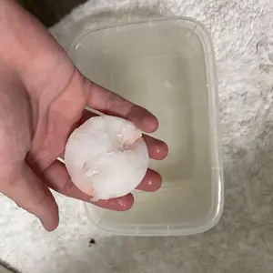 Product Review of SneakERASERS️ Instant Shoe Cleaner: 10 Pack from M** F**o U**e M** F**