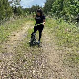 Product Review of iYoShop Hands Free Dog Leash with Zipper Pouch, Dual Padded Handles and Durable Bungee for Walking, Jogging and Running Your Dog from ** ** ** ** T**L