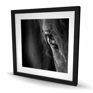 212 MAIN Black Horse Framed Matted Print Wall Art - 24x24 in. Artistic Horse Photography, Home Decor Accent, Ideal Gift for Art Lovers