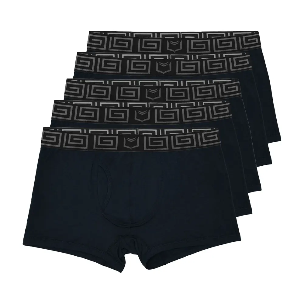 SHEATH 2.1 Bamboo Men's Pouch Trunk 3" (5 Pack)