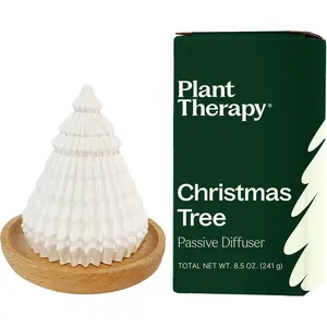 Lava Rock Passive Diffuser for Essential Oils Great for Decorating at Home, Office or Car, and Gift-Giving