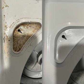 product review image from Kayla Webb 2