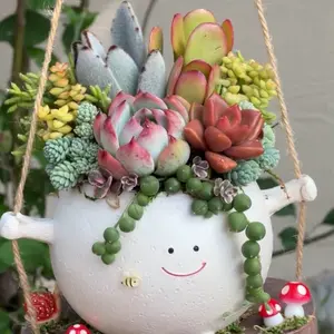 Swinging Succulent Design