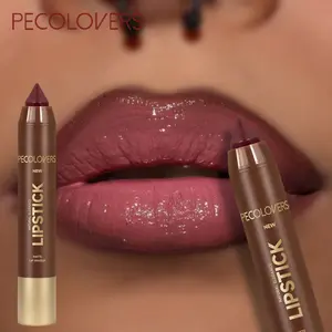 2-in-1 Matte Lip Liner and Lipstick - Waterproof, Sweatproof, and Smooth Application Lipliner Lip Product