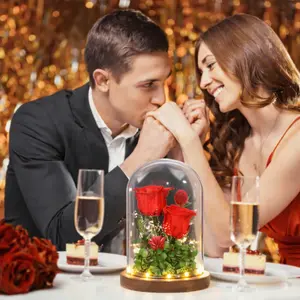 Preserved Red Rose Dome with LED Lights