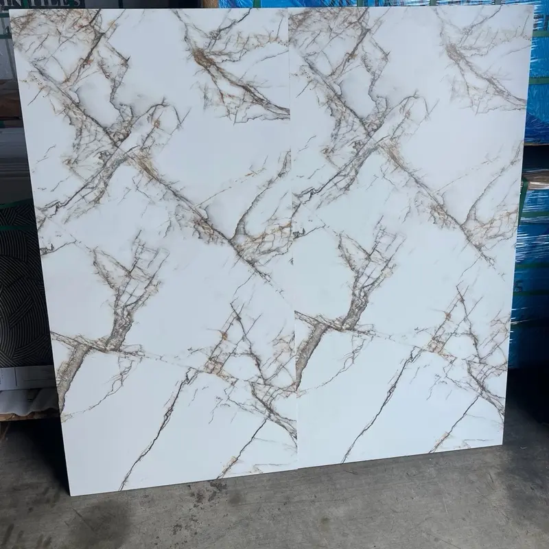 24”x48” Porcelain Tile Matte/Carved
