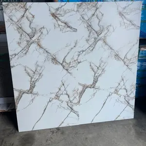 24”x48” Porcelain Tile Matte/Carved