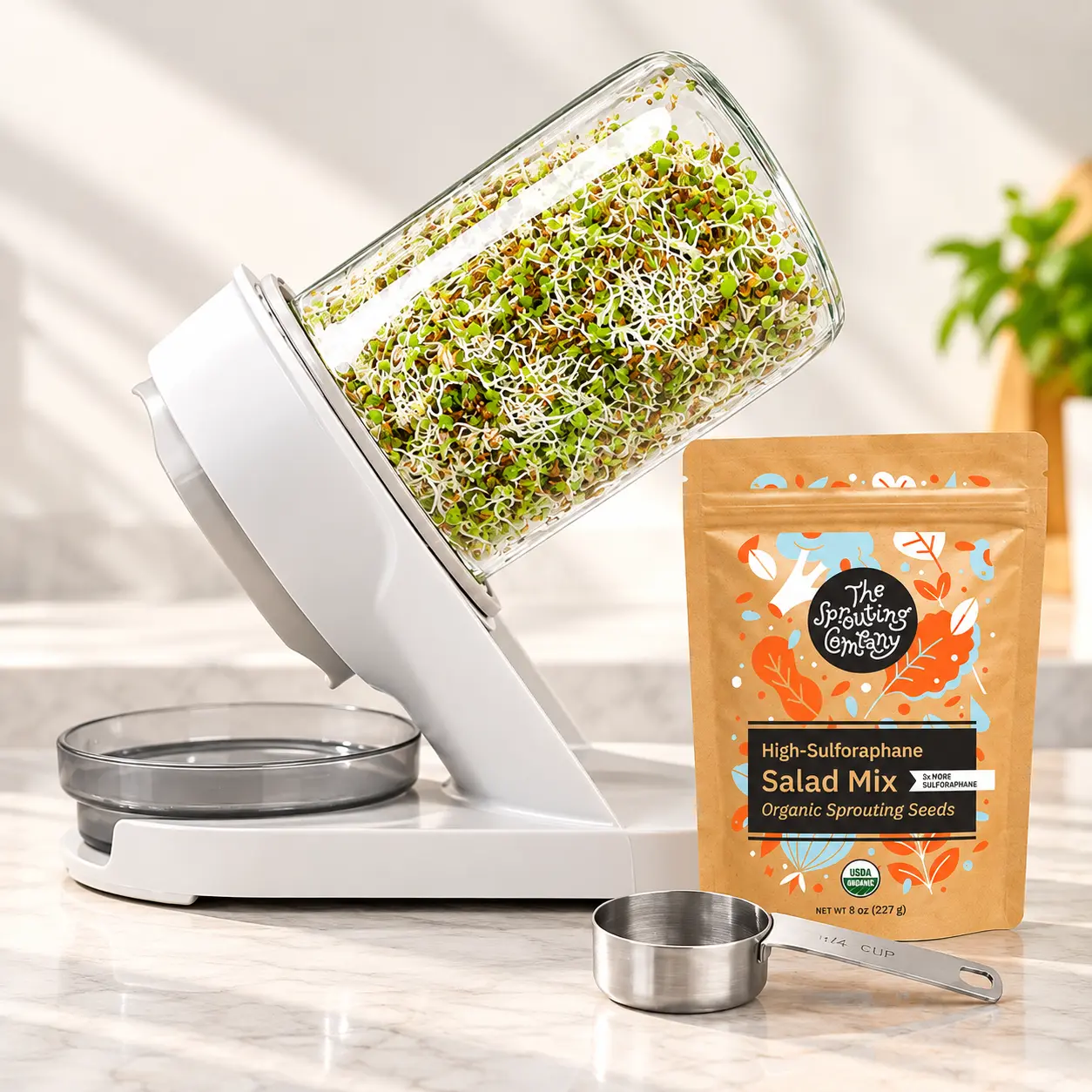 High-Sulforaphane Salad Mix The Starter Kit Sprouting System