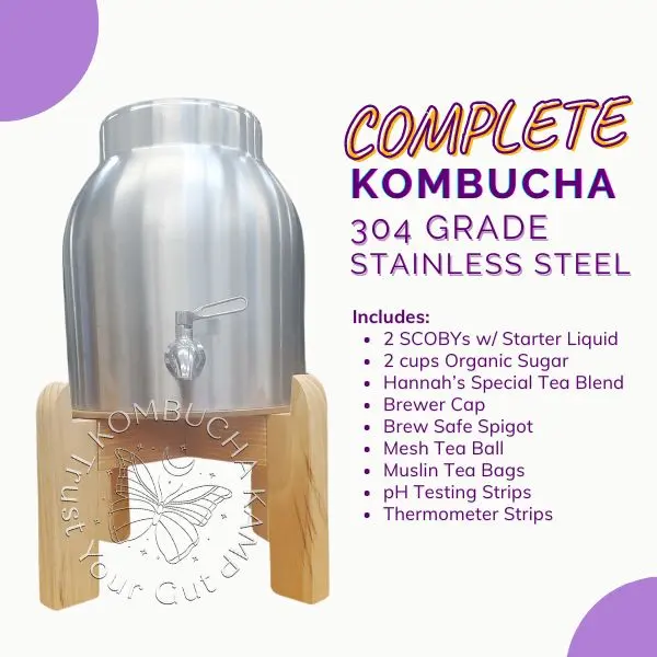 Stainless Steel Vessel with Continuous Kombucha Brew Complete Package