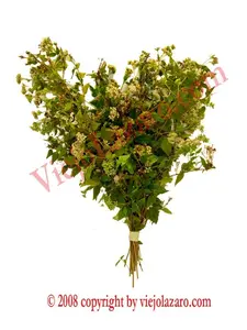 Abre Camino Herbs Open the Way