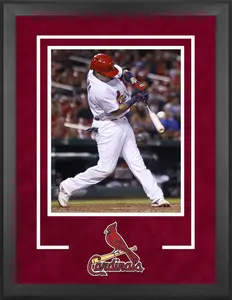 St. Louis Cardinals Deluxe 16" x 20" Vertical Photograph Frame