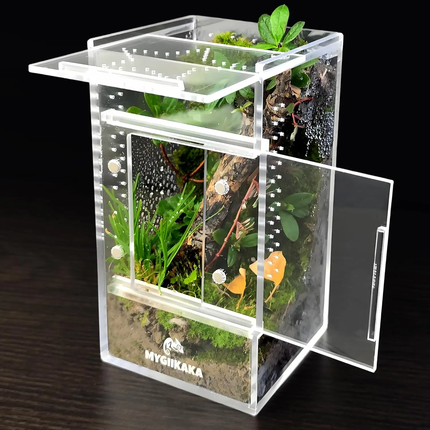 Rectangle Mesh Transparent Insect Terrarium (xx in) - Pet Supplies for Tarantulas, Praying Mantises, Snails, Caterpillars, Children’s Bug Habitat Accessories