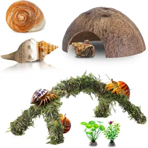 Hermit Crab Accessories, 6 Pcs Hermit Crab Shells Natural Coconut Moss Climbing Toys Decor for Reptile Amphibians Tank Supplies