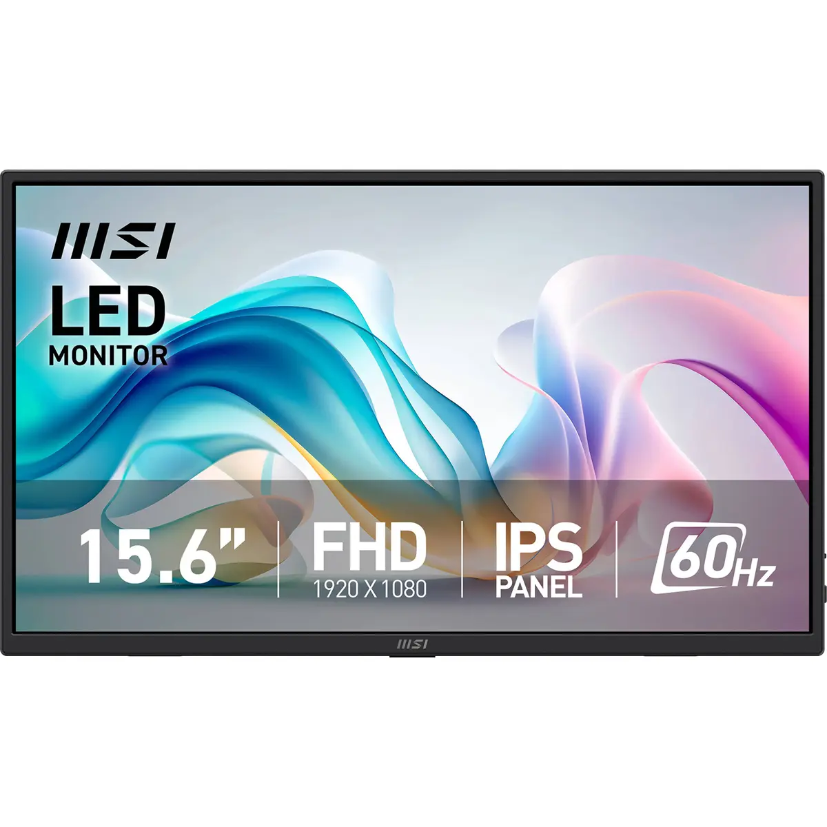 MSI PRO MP165 E6 15.6" 16:9 Full HD Portable USB-C IPS LED Monitor