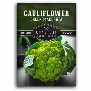 Green Macerata Cauliflower Seed - Verde di Macerata