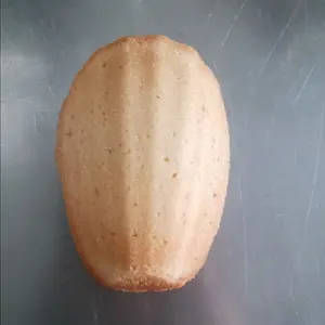 Vanilla Madeleine sponge cake Cookies