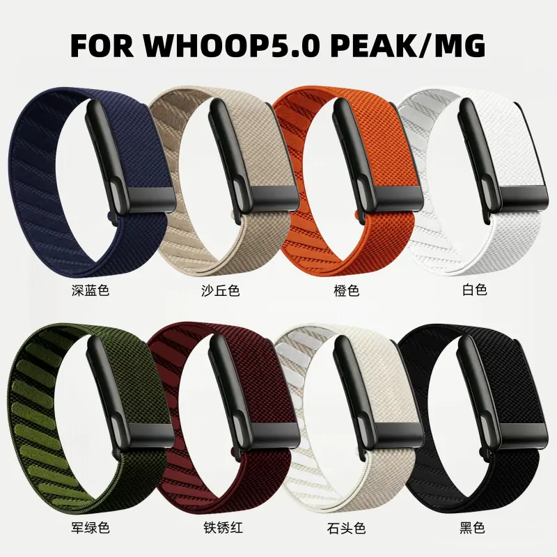 Whoop 5.0 band/strap for smartwatch, nylon material with a shiny gold frame and stainless steel frame, compatible with ECG and heart rate monitoring models.