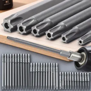 Multi-Size Magnetic Screwdriver Bit Set 12-Piece Durable Rust-Resistant Tools for Repair and Assembly