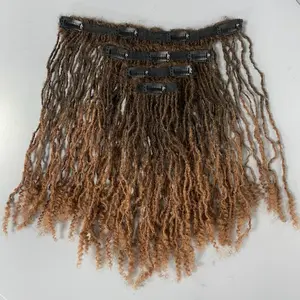 Loc Clip-In ombre - Versatile Hair Clip for Various Styles and Lengths