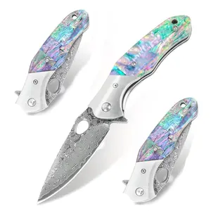 Small kitchen knife with Damascus pattern, ergonomic shell handle with rich colors, sharp cutting performance, rust-resistant and durable—professional chef’s knife, ideal for everyday kitchen use and holiday gifting.