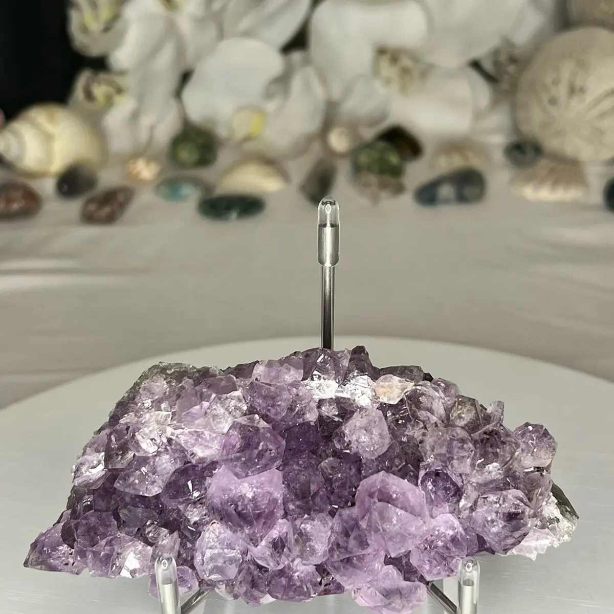 Amethyst cluster