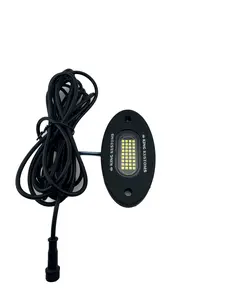36 LED White P&P Rock Light