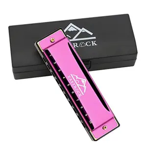EastRock Blues Harmonica Mouth Organ 10 Hole C Key with Case, Diatonic Harmonica for Professional Player, Beginner, Students gifts, Adult, Friends, Gift(Pink）)