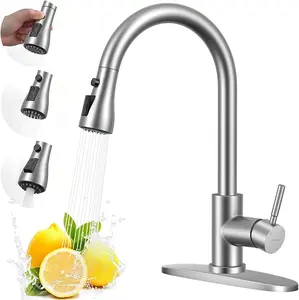 Single Handle High Arc Brushed Nickel Pull Out Kitchen Faucet,Single Level Stainless Steel Kitchen Sink Faucets with Pull Down Sprayer,Suitable for Laundry Rv Bar