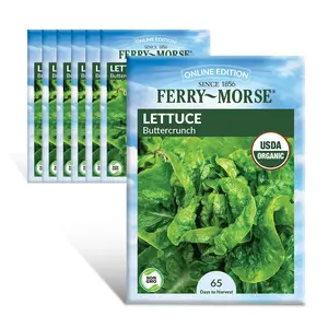 Ferry-Morse Online Edition Lettuce Buttercrunch Organic Seed Multipack - 7 Pack