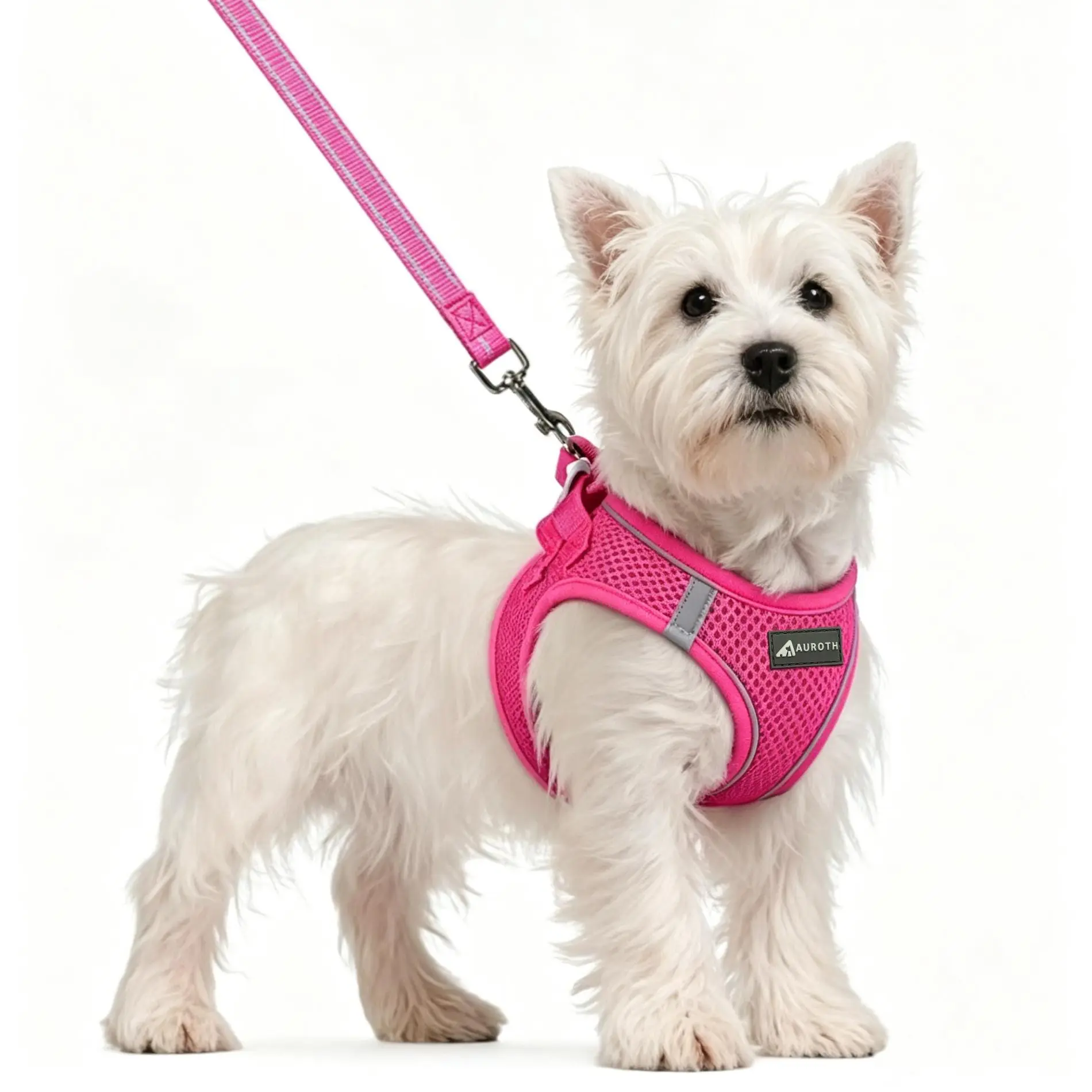 【#Summersale】AUROTH Small Dog Harness and Leash Set Bundle, Step-In Soft Light Puppy Vest Harness with Easy On/Off Design, Breathable Mesh Puppy Accessory, Reflective Bands for Safe Walks, Puppy Accessories, Adjustable Hook-And-Loop