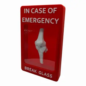 In Case of Emergency Knee - Hilarious Desk Decor Gag Gift for Gym Rats Athletes & Co-workers Perfect Birthday Present