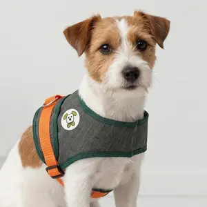 Pet Harness Leash for Cats and Dogs, Small Dog Teddy Vest Style, Comfortable Walking Strap, Ideal for Daily Use