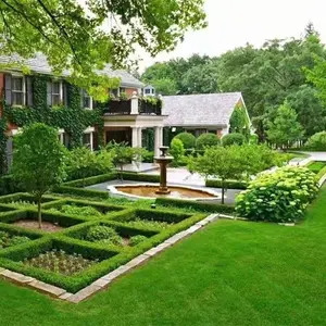 400000 Premium Seeds for Lush Carpet Lawn Fast Growing All Season Durability Ideal for Lawns & Golf Courses 400000 Premium Seeds for Lush Carpet Lawn Fast Growing All Season Durability Ideal for Lawns & Golf Courses