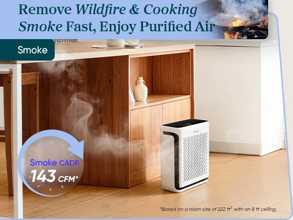 LEVOIT Vital 100S Pet Air Purifier for Home Large Room Bedroom, 2-Pack Bundle, Covers Up to 2220 Ft² with Light Sensors, Smart WiFi, HEPA, Sleep Mode for Pets, Allergies, Dust, Odor