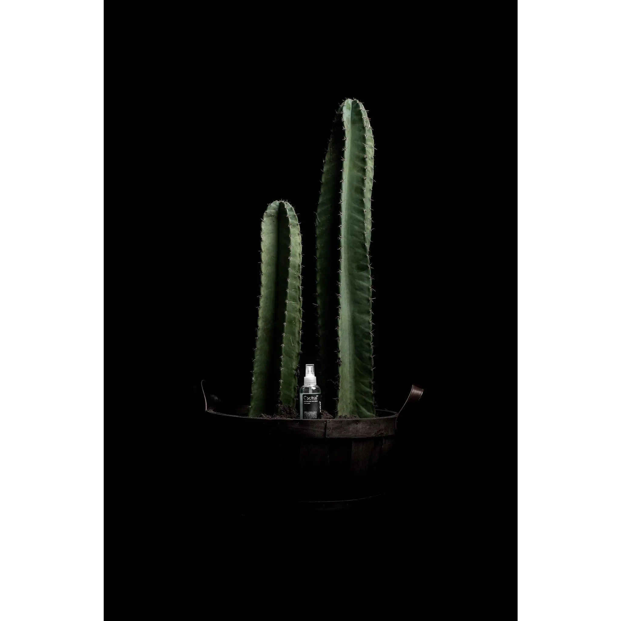 Post-Wax Calming Serum - Cactus H20