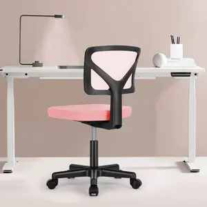 Swivel Rolling Computer Chair No Arms with Lumbar Support Low-Back Mesh Armless Office Chair,