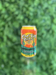 Cactus Cooler Orange Pineapple Blast Can