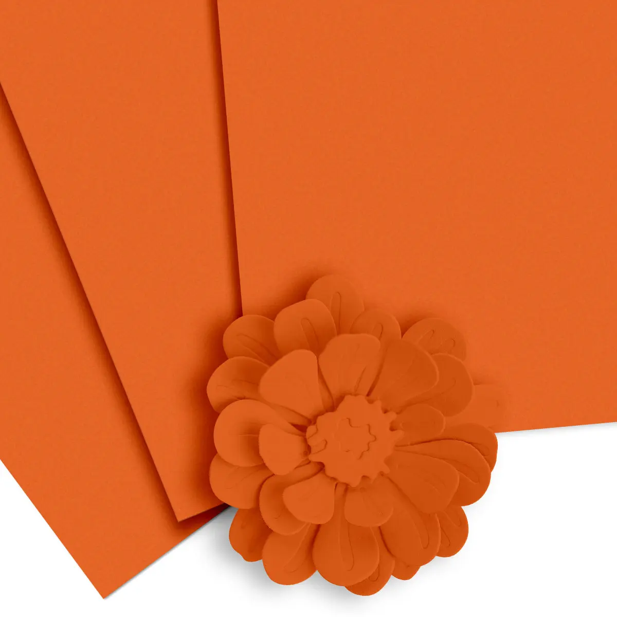 Crafty Necessities: Orange Cream Cardstock (10 sheets/set)