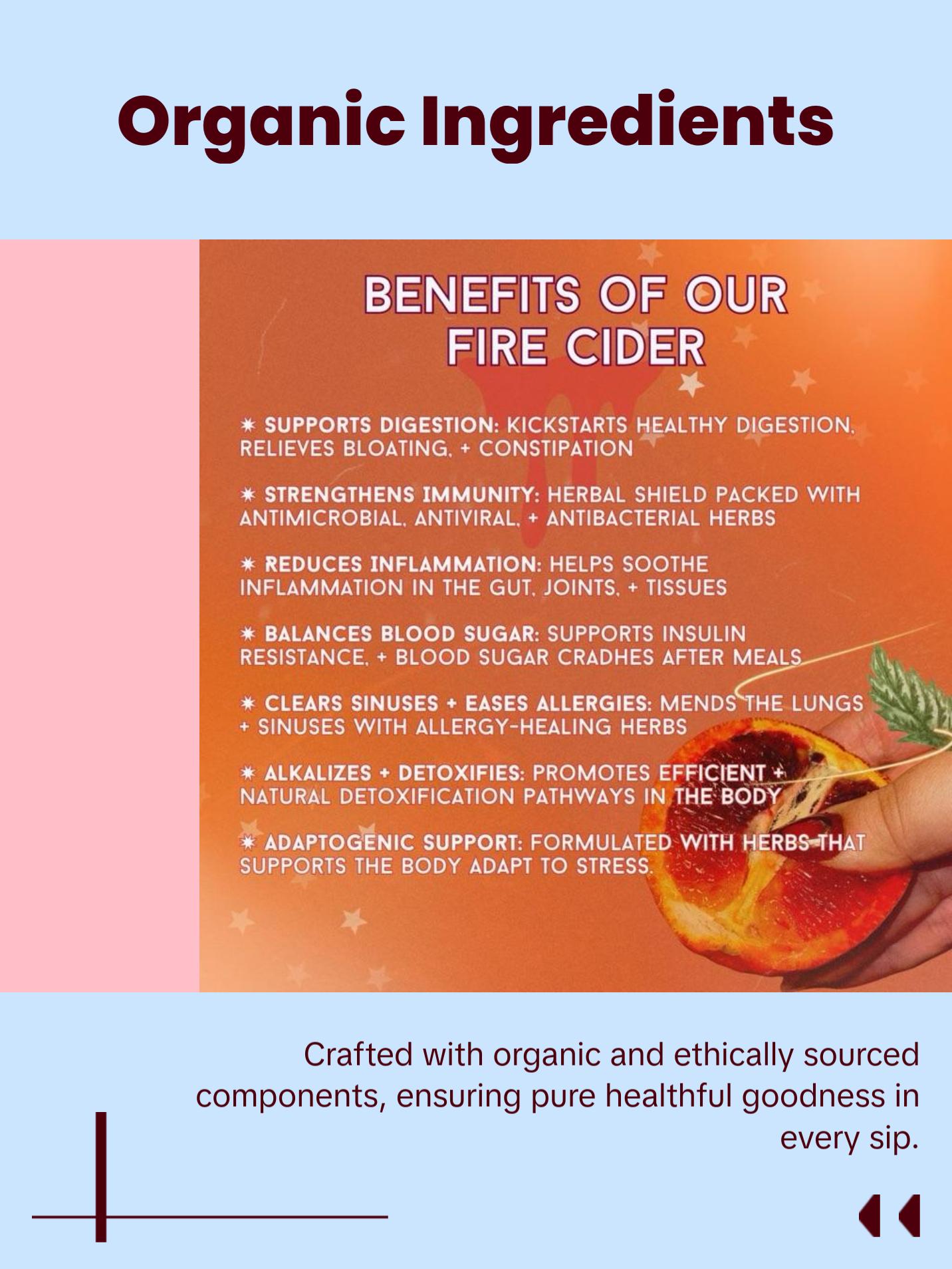 Organic Fire Cider Elderberry Hibiscus Probiotic & Gut Tonic for Immunity Organic Fire Cider Elderberry Hibiscus Probiotic & Gut Tonic for Immunity