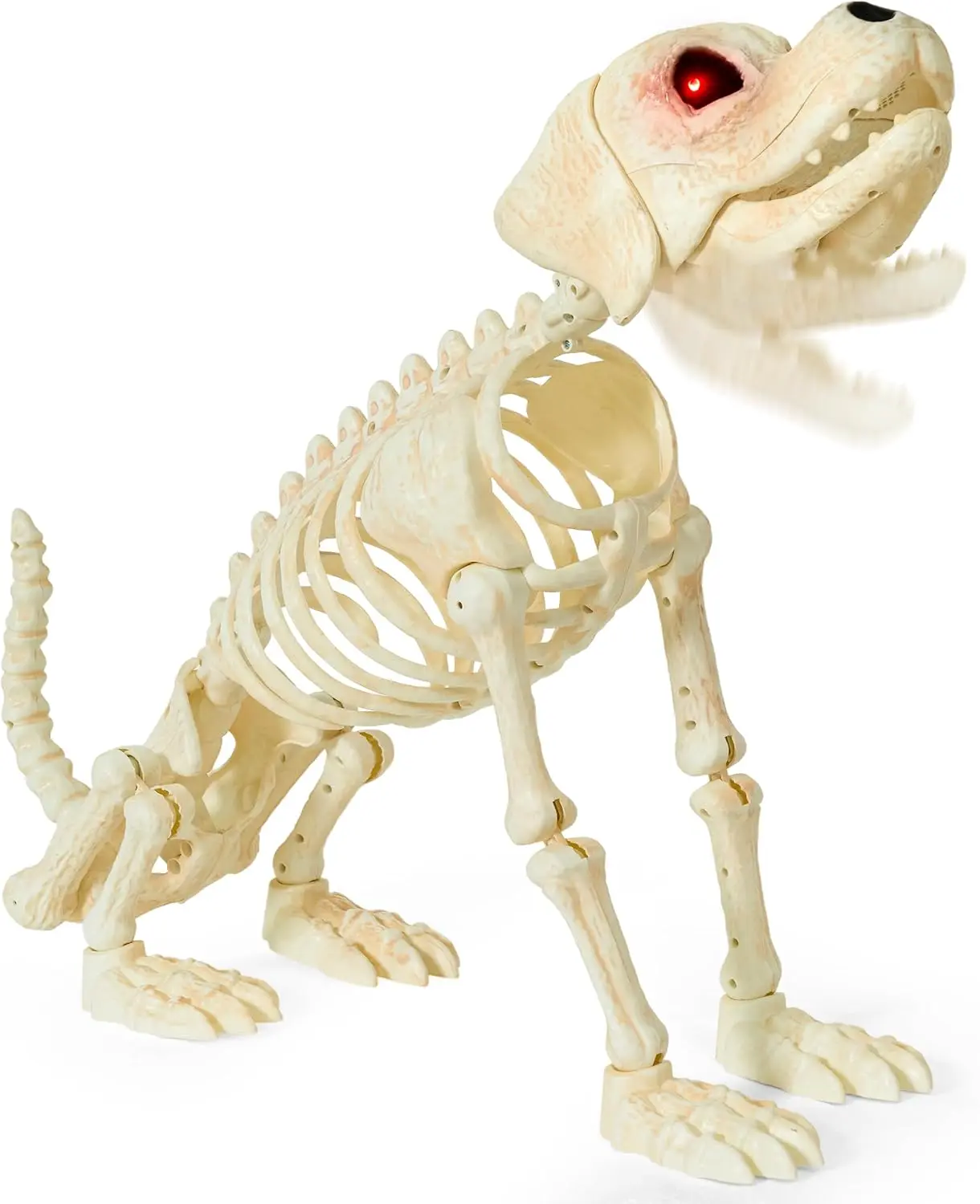 JOYIN Halloween Golden Retriever Skeleton 34” Animal Dog Plastic Skeleton with Glowing LED Eyes & Spooky Sounds, Moving Jaw, Posable Joint for Haunted House, Yard Graveyard, Indoor Outdoor Decor