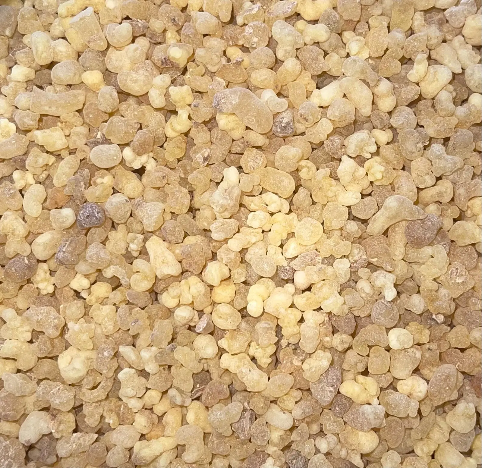 Frankincense Resin / Frankincense Gum Frankincense Resin / Frankincense Gum