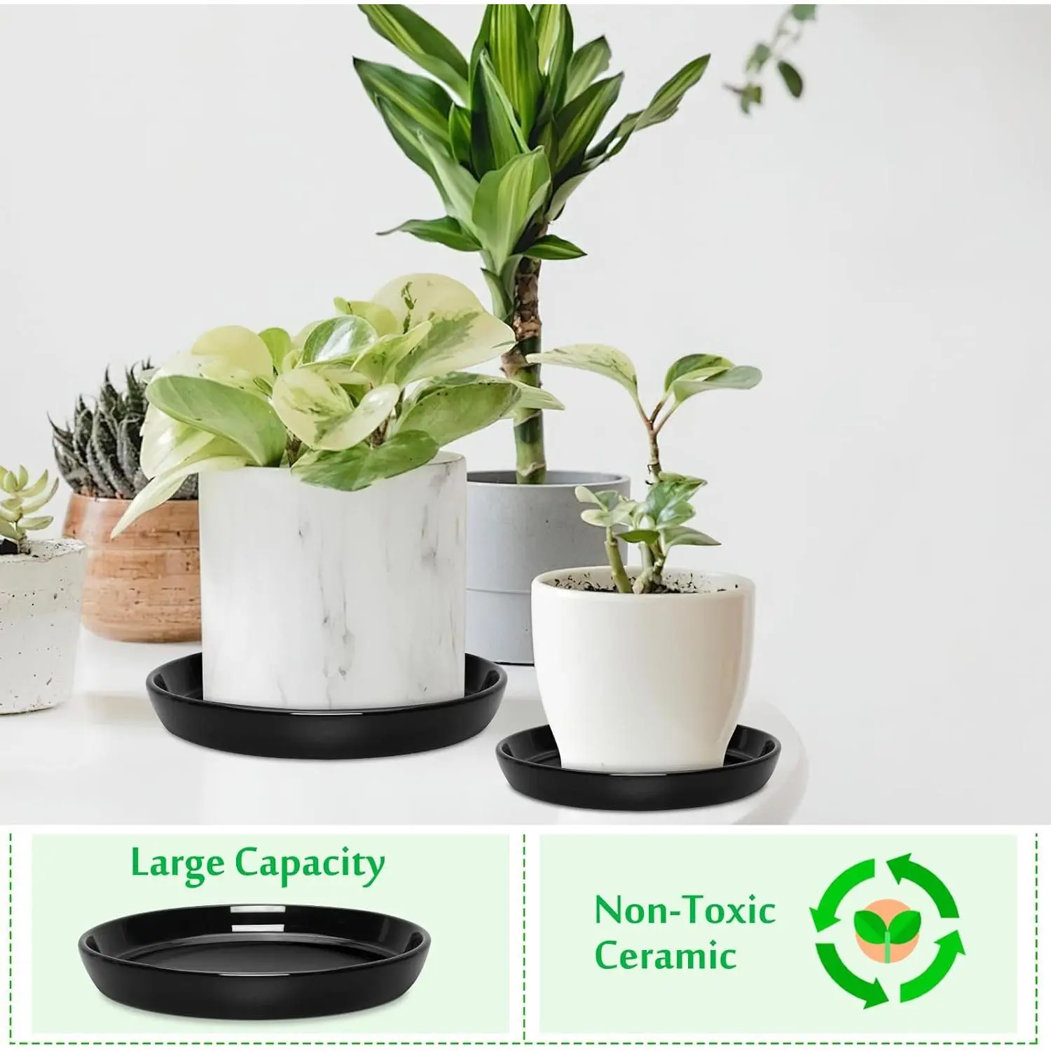 house plant planters Self-Watering Indoor Herb Planter Set (3 Pack) – Buzzy Seeds