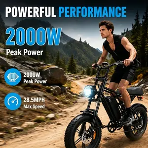 2000W Peak Electric Bike for Adults, 28.5MPH Fast Ebike, 48V15AH Battery, 35-50 Miles Range, 20" Fat Tire, Dual Suspension, 400LBS Payload Off-Road
