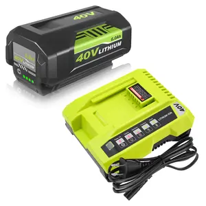 6000mAh Replacement Battery and Charger for Ryobi 40V OP40201 ZROP4026 Compatible with 40 Volt Cordless Power Tool Lithium Capacity Wattage
