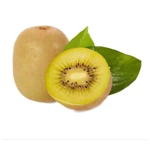 QAUZUY GARDEN 100 Golden Kiwifruit Kiwi Gooseberry Seeds for Planting Tasty & High Yield Non-GMO Heirloom Fruit Seeds Grow Your Own Delicious Fruit Tree