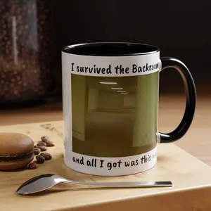 I Survived The Backrooms And All I Got Was This Mug Mug, Accent Coffee Mug, Fan Gift Mug