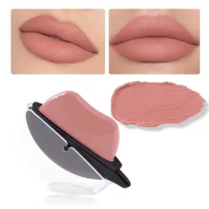 1 Matte Nude Lipstick Lazy Person Lipstick Naked Color Non-Stick Cup Temperature Lip Balm Wholesale