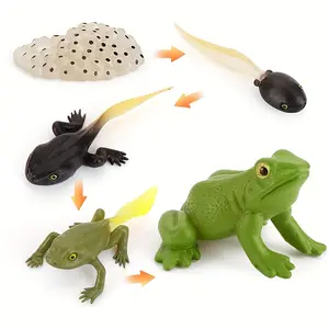 5pcs Educational Frog Life Cycle Model Set, Realistic Plastic Animal Development Toy, for Kids, Classroom Learning & Teaching Aid Gifts for Birthdays